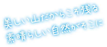 美しい山だからこそ残る素晴らしい自然がそこに